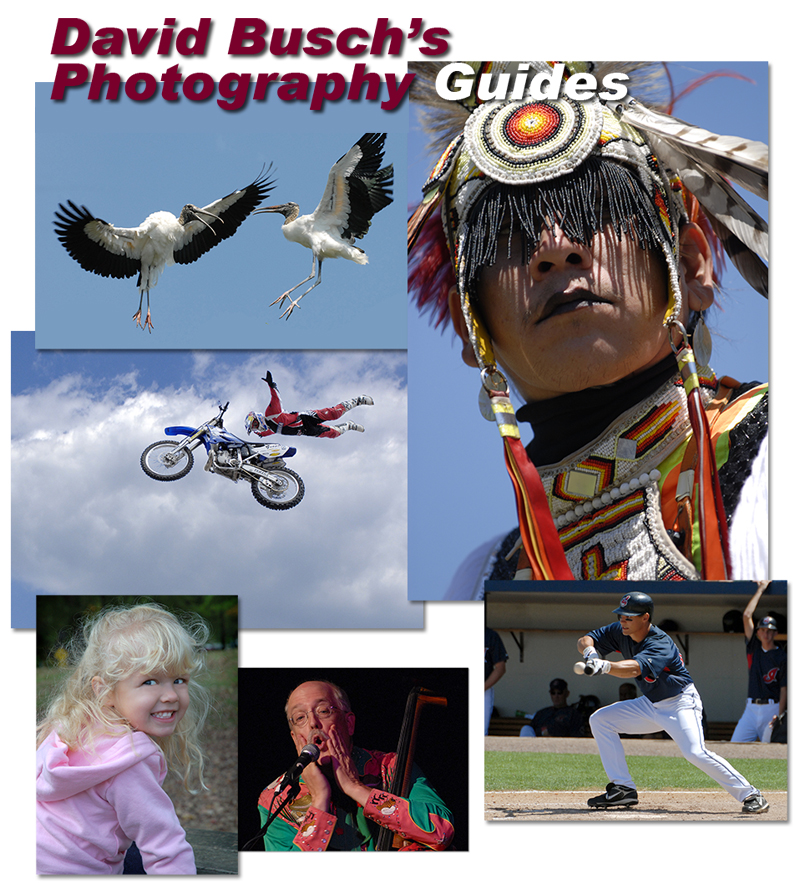 David Busch's Photography Guides